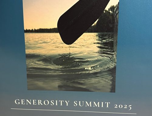 Scarcity and Abundance on the shore of Lake Erie…