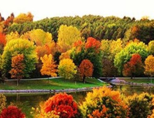 An Octoberfest of Grace and Gratitude!