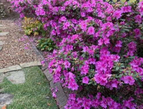 Gratitude in the Midst of Change…